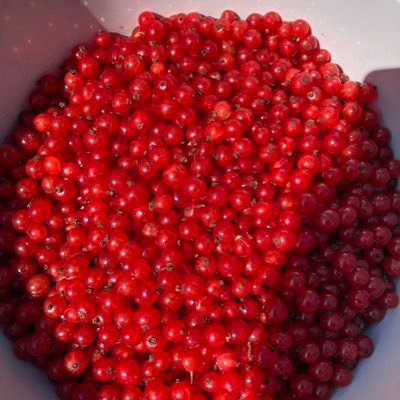 KellRagerMar's profile picture. 