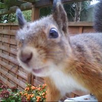 Niwe (@niwe2019) Twitter profile photo