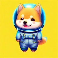 Crypto NoNo (@crypto_nono) 's Twitter Profile