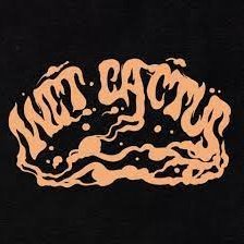 info@wetcactusband.com