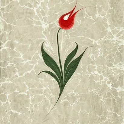 guneyyalmanci's profile picture. 