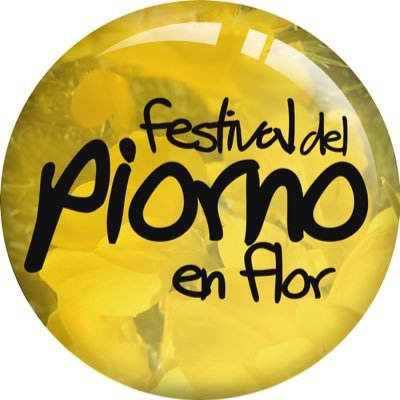 Bienvenidos al Festival del Piorno en Flor. Un maravilloso espectáculo natural que tiene lugar cada año, los meses de mayo y junio, en la zona norte de #Gredos.