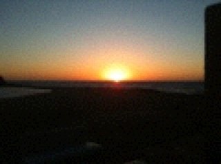 CGib