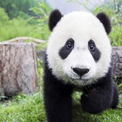 leaky_moats's profile picture. Here to learn how to incinerate capital