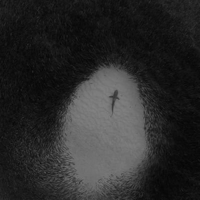 darth_coc's profile picture. https://t.co/maFskTnfYT