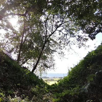 奈良大学城郭研究会公式アカウント🏯中世城郭を中心に幅広い活動を実施。現在55代目。踏査風景、お知らせ等を投稿していきますので是非フォローを!質問等気軽にDMを!(“常時”入部希望受け付けております!サークルとの兼部可能!) 知識なくても大丈夫👍推しのお城を見つけよう!#春から奈良大 #奈良大学城郭研究会