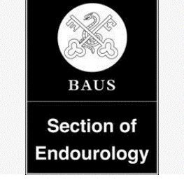 BAUS Endourology