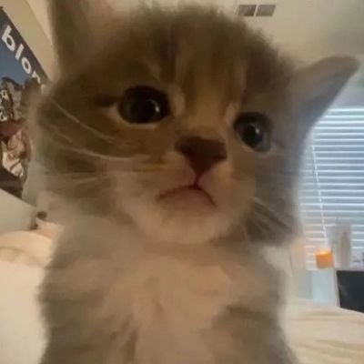 patch_oni's profile picture. LN/ WN/ Manga/ Manwha Lover| Slime Isekai supremacy!