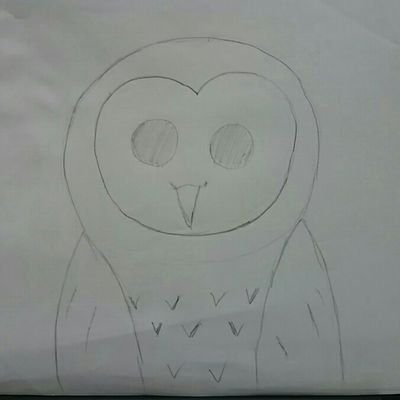 stupid_owl Profile Picture