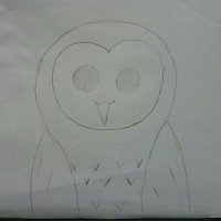 アナホレナイフクロウ(Rinchoku) (@stupid_owl) 's Twitter Profile