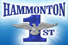 hammonton1st's profile picture. Providing the people of Hammonton with a cost-efficient, open and honest government of which they can be proud.