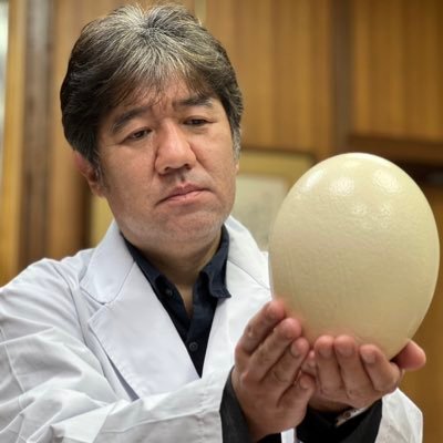 ytsukagori's profile picture. ダチョウに夢中