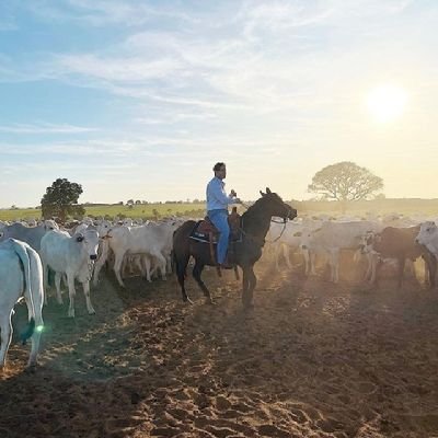 O agro não para