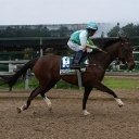 Trina Johnson - @TrinaJohns84589 - Twitter