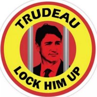 TrudeauforTreason(@steveivey11) 's Twitter Profile Photo