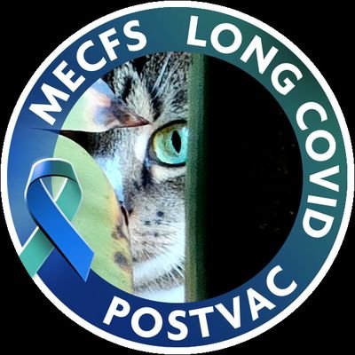 I'm not a cat
#pwME #MECFS #NEISvoid #queer #TeamWolf #TeamNatuur #TeamBasisinkomen
#LongCovid en solidair met #PostVac