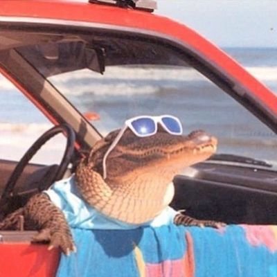 쎈셍지さんのプロフィール画像