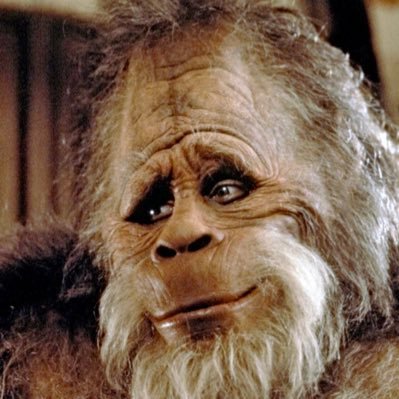 JSLINK169's profile picture. Cave Paint in my free time. Chiseled brow. Rocks are friends and tools. Femurs make good death clubs. Woolly Mammoth tamer.