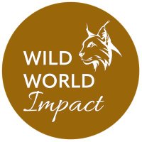 Wild World Impact(@WildWorldImpact) 's Twitter Profile Photo