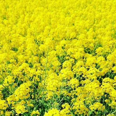 minaminokomachi's profile picture. 舞台好き。無難に生きています。　■徒然 https://t.co/PtPcl0kwo2　■日常 https://t.co/ZCFmI7QV7m　■旅と写真 https://t.co/M1pN9eG7UM