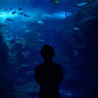 あーる (@arutogame07) 's Twitter Profile Photo あーる (@arutogame07) 's Twitter Profile Photo
