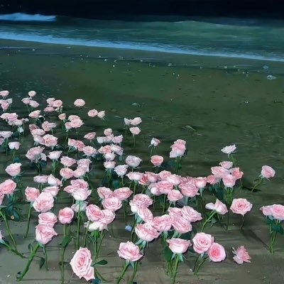 pyse2_carrie's profile picture. 认真生活！