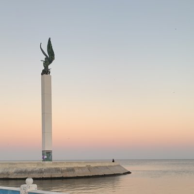 apalmant's profile picture. 