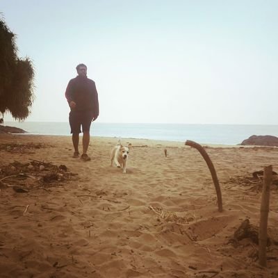 runkinrun's profile picture. I like old ruins. Product @Paypal