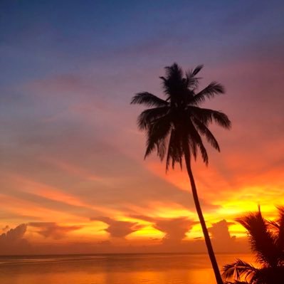 OGKapKing's profile picture. vibe director of @SAUCESQUADGG