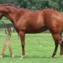 Michelle Waddle - @MichelleWa69807 - Twitter