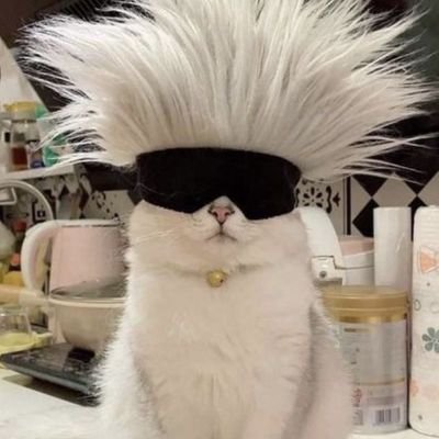 Ainun04923298's profile picture. kosong