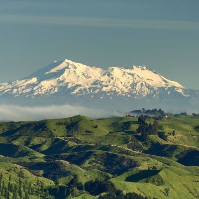 ogailih's profile picture. ▫️ماجستير إدارة الرعاية الصحية ▫️مهتمة بالتعليم والتحفيز ▫️لَايَزَالُ المَرءُ عَالِمَاً مَا طَلَبَ العِلم~فَإن ظَنَ أَنه عَلِمَ فَقد جَهل