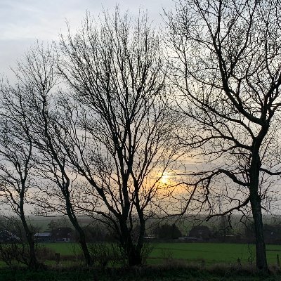 markeberhard's profile picture. former frozen yogurt store employee. Currently coding.