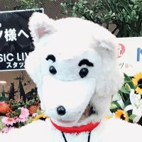 スピッツUMStaff(@spitz30th_UM) 's Twitter Profile Photo