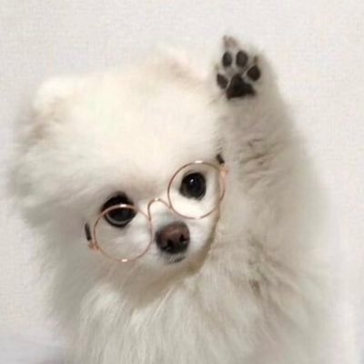 初恋とカリスマを愛でるアカウントです