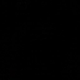 gumiw0rmz's profile picture. she/any. 🦍.