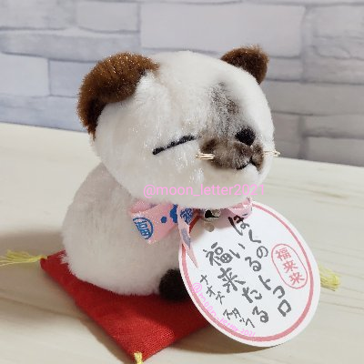 ことりさんのプロフィール画像
