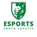 South Fayette Esports (@SFLionsEsports) Twitter profile photo