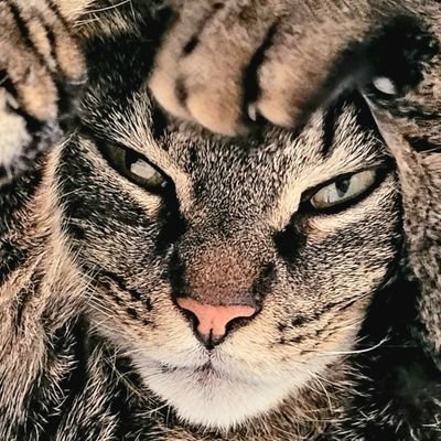 deunze's profile picture. Whatever Engineer & World watcher