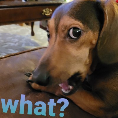 FractalMoon's profile picture. 🚫⛔️ DMs!! Homeschooling mom of 4! Hippie chick but not 1 of the liberal nut types! I believe in being self sustainable and responsible!