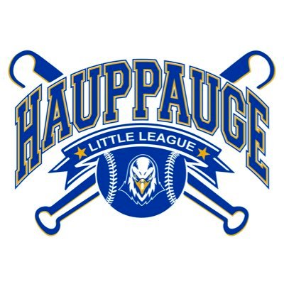 Hauppauge Little League Baseball https://t.co/lzu0Aabzzd