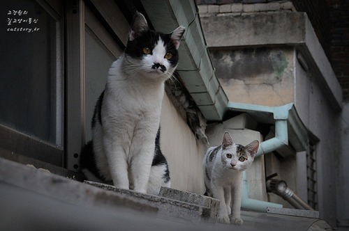 cgh1122's profile picture. 포항시민. 국민tv 조합원.
이이제이,국민tv라디오,벙커강의 없으면 무슨 재미로 살까. 졸라 땡큐