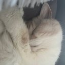 Monika Green - @mybestideasyet - Twitter