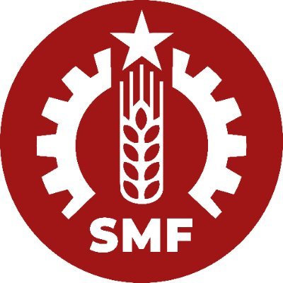 Sosyalist Meclisler Federasyonu
