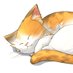 Meowmeow Circle (@meowmeowcircle) Twitter profile photo Meowmeow Circle (@meowmeowcircle) Twitter profile photo