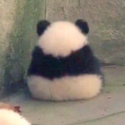 AlfredoGaytan31's profile picture. 