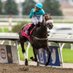 Ontario Wagering (@ontariowagering) Twitter profile photo Ontario Wagering (@ontariowagering) Twitter profile photo