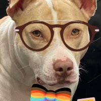 Chili’s Malört Sommelier🫧 (@samanthaintexas) 's Twitter Profile Photo