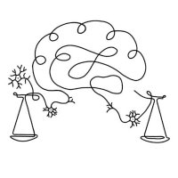 Student Committee in Neurometabolism (@scineurometab) 's Twitter Profile Photo Student Committee in Neurometabolism (@scineurometab) 's Twitter Profile Photo