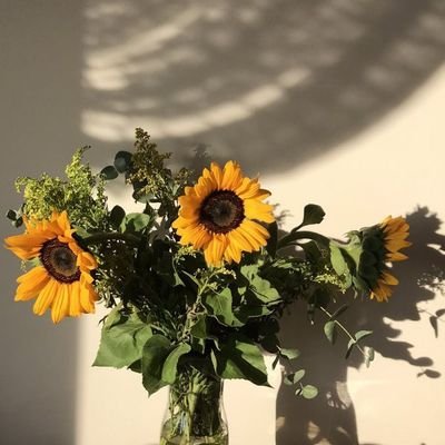 hotcheetos_mfs's profile picture. mujhe  kya mein  tou fish hun 🐟
#FreePalestine 🇵🇸